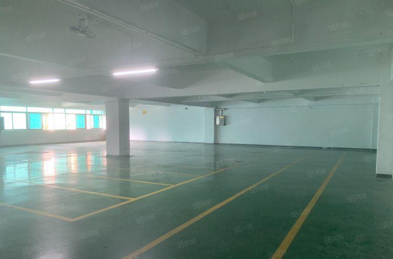 龙岗中心城新出2楼精装修1000平厂房仓库出租带现成水电可分