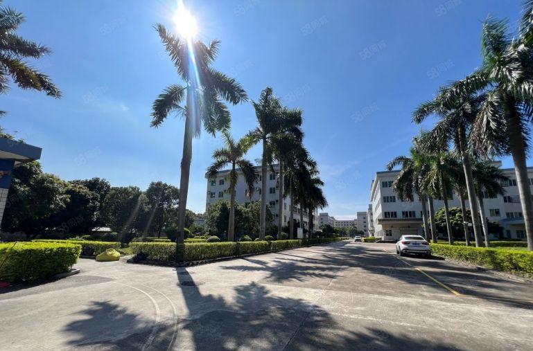 空地超大行业不限村委直租宝龙新出26000平独门独院厂房出租