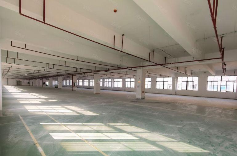 出租龙岗宝龙原房东厂房1000平可办环评带装修可分租