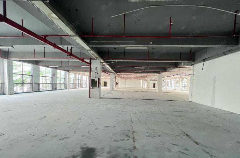 岗头地铁站楼上1000平厂房出租房东带红本可分组200平起分