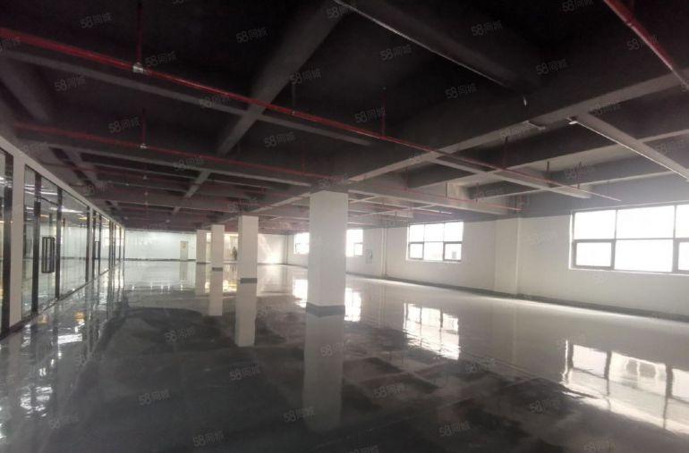 坂田杨美地铁口电商园100到2000平办公仓库厂房出租