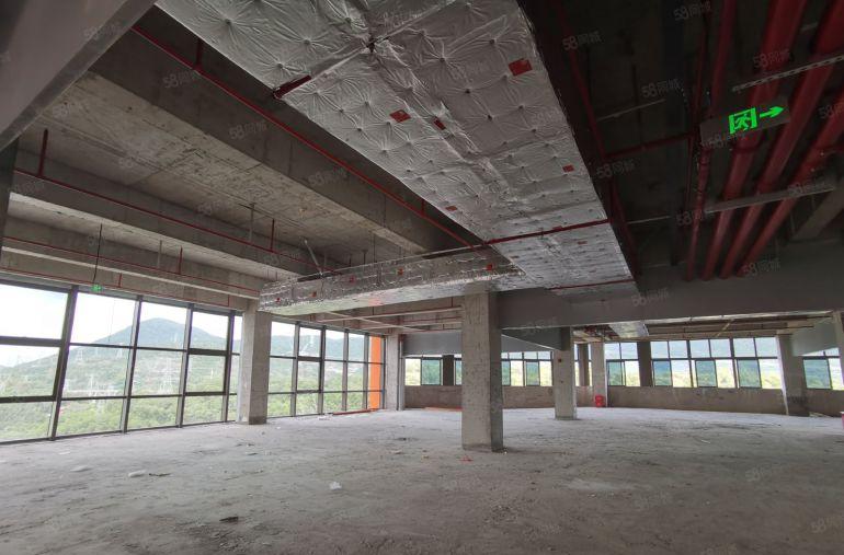 龙岗地铁口全新高标厂房 可研发生产 1200平起开发商直租