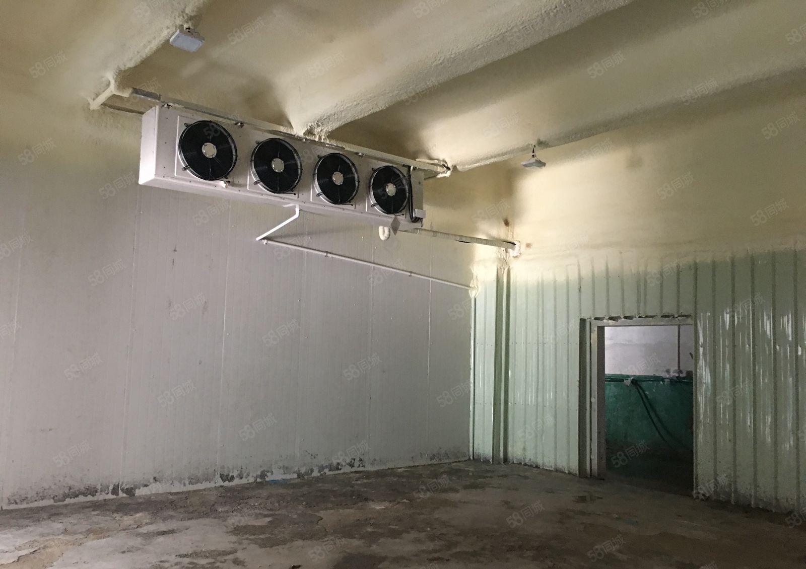 平湖海吉星农批市场旁1百2百5百8百冷藏冻库仓库厂房出租分租