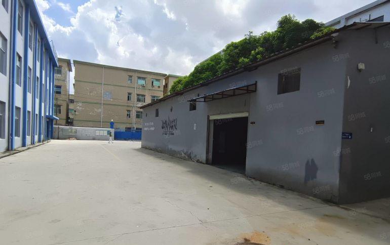 横岗荷坳空出一楼厂房500平方独栋钢构出租价格23元