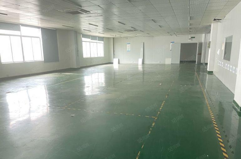 龙岗中心城地铁口楼上1000平精装修厂房仓库出租可分租低价