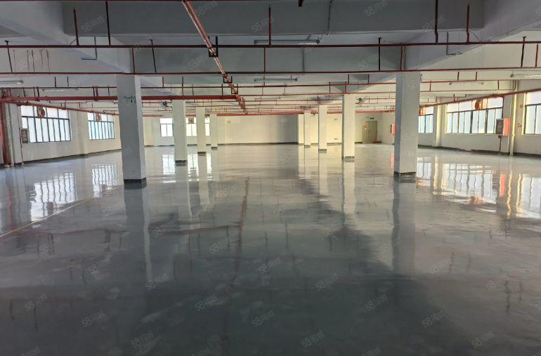 可签10年！独院个人红本低价厂房出租原房东可分层出租仓库出租