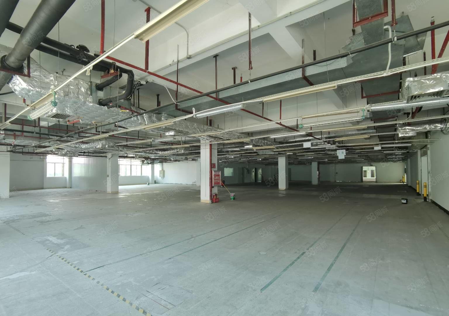 坂田五和原房东独门独院独栋厂房出租一楼仓库出租可分租小面积