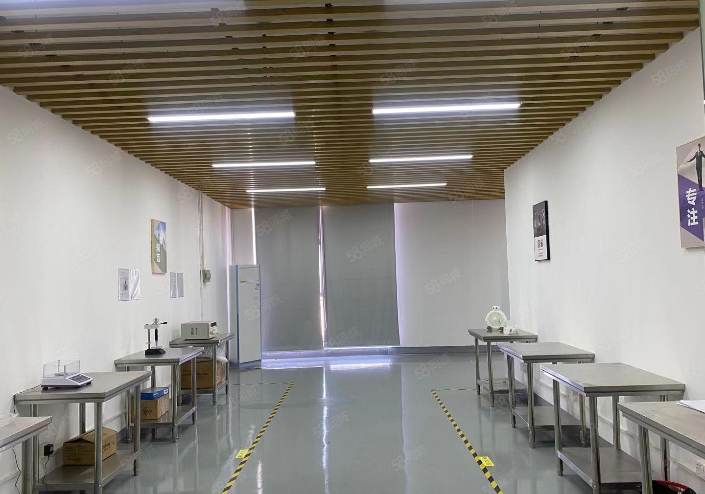 龙岗高桥低碳城新出1000平米精装修厂房出租