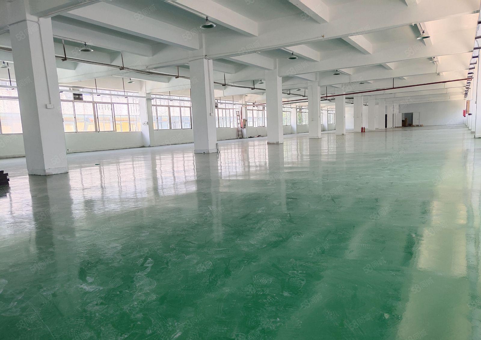 横岗六约新出独门独院4000平厂房出租高6米可办环评空地大