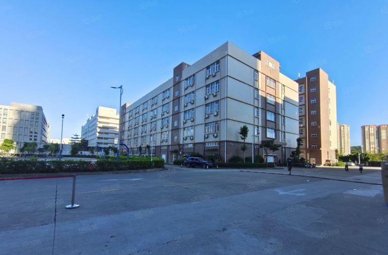 坪地高桥原房东科技园1000平方带精装修办公仓库厂房低价出租