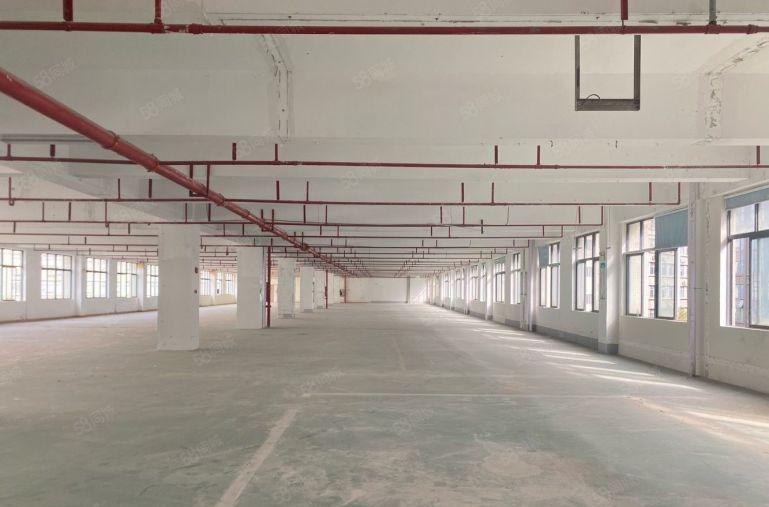平湖华南城工业园厂房出租2000平分租20元起带5吨货梯