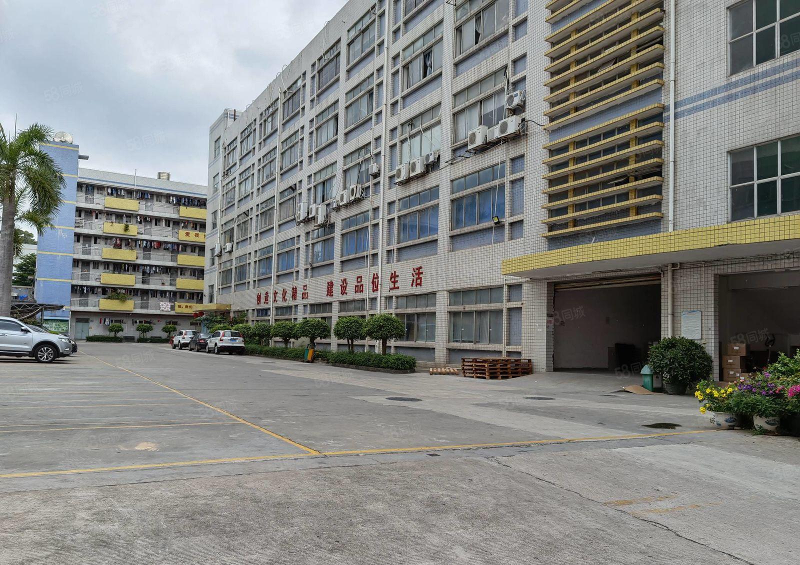 龙岗新出一二楼1000平至5000平厂房仓库出租独院大小分租