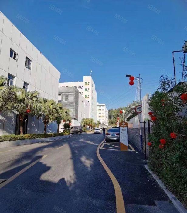 横岗原房东直租花园式厂房一楼1322平 272起租 单价30