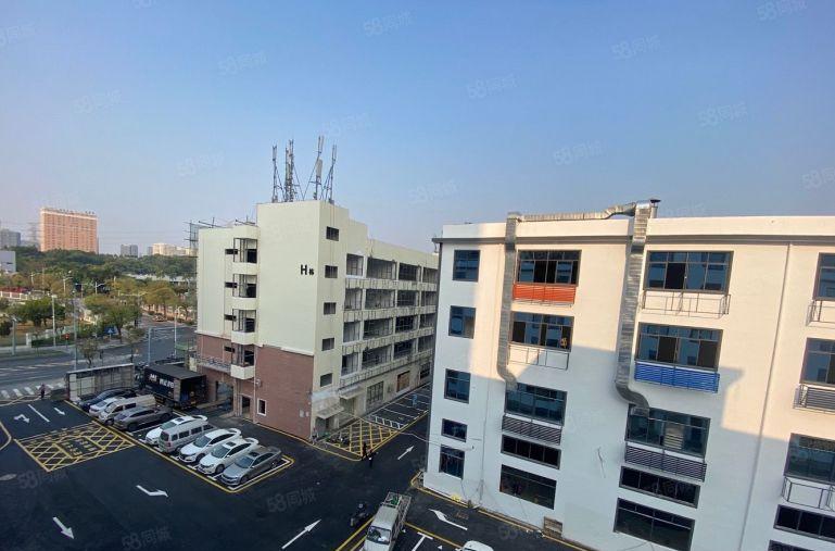 坂田地铁口旁业主直租电商产业园500平起可申请补贴赠送免租期