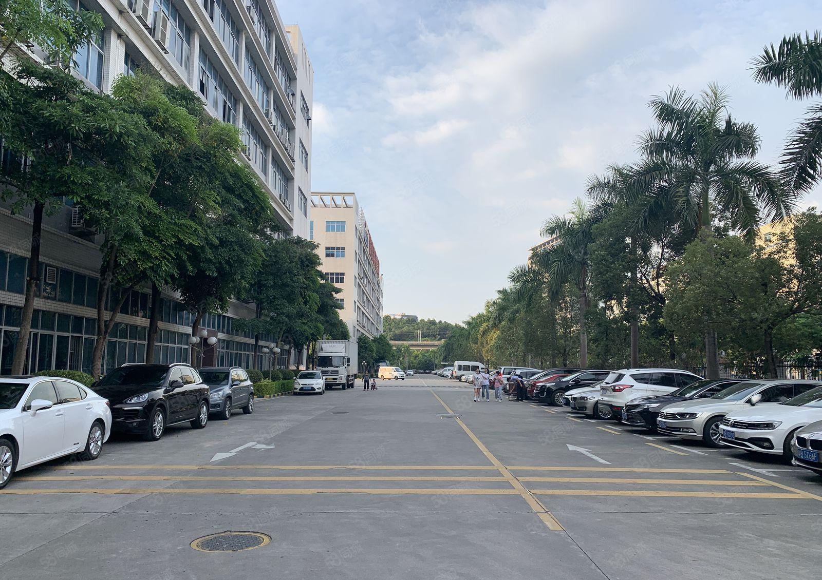 李朗 联创科技园 生活配套齐全 运动设施多样 可满足日常健身