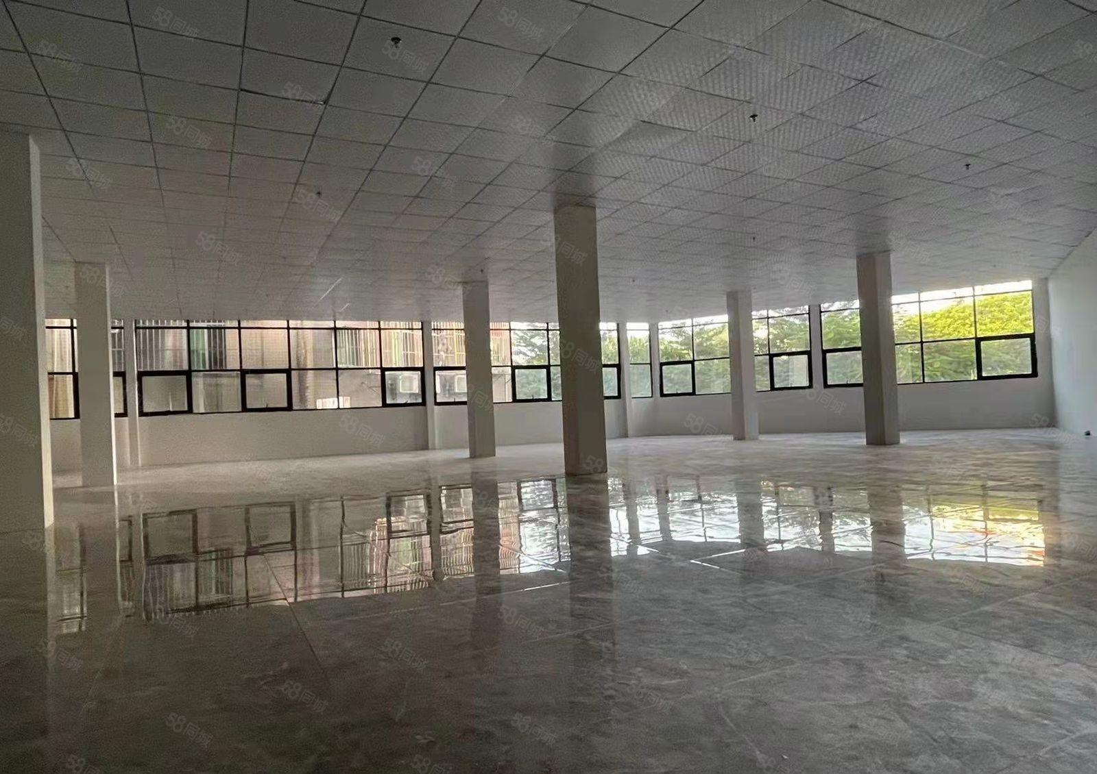 南联地铁口全新装修厂房，适合电商教育行业