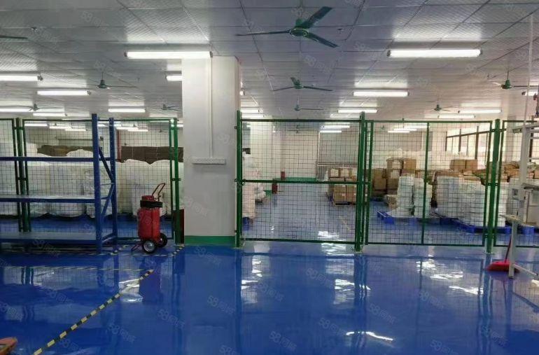 龙岗同乐原房东实际面积二楼厂房出租1200平方带精装修地坪漆