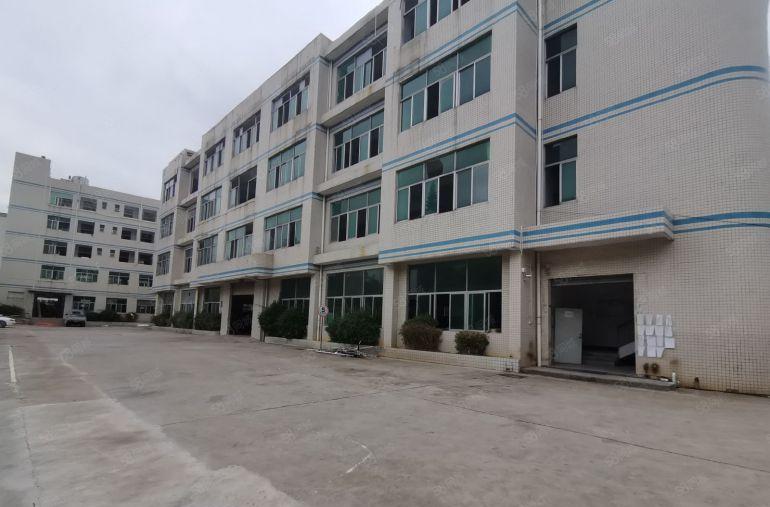 平湖富民原房东厂房出租独门独院工业园出租500平起租空地大