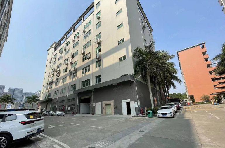 超大空地杨美2000平一楼标准厂房200平起分适合物流仓库