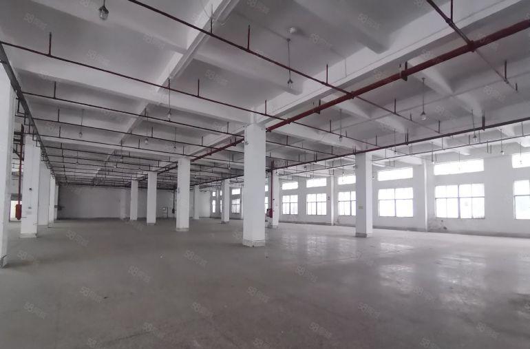 出租平湖白泥坑海吉星1600平标准厂房出租仓库招租