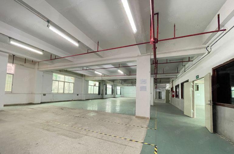 平湖新出独门独院1000平原房东带红本厂房出租，带现成办公室