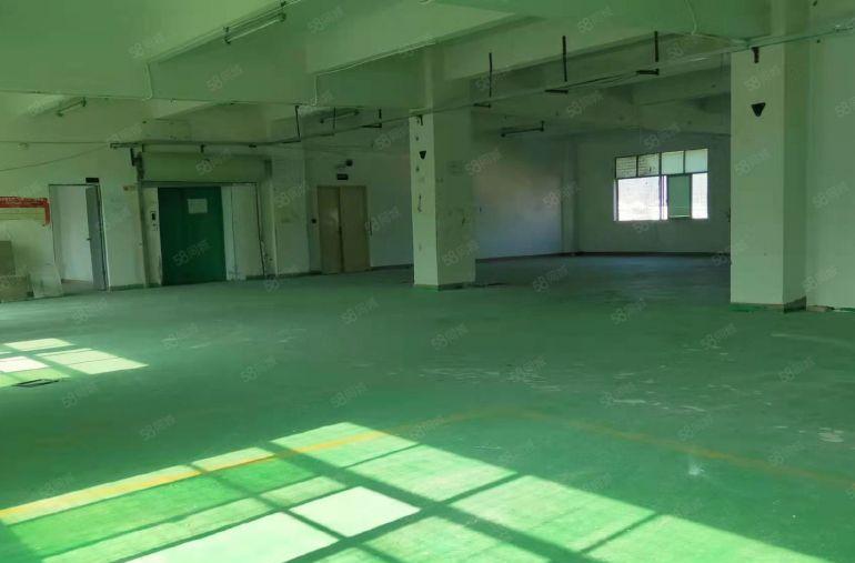 横岗新出298平厂房，层高5米，能进大货柜