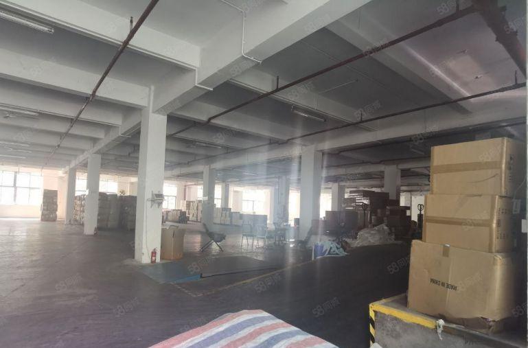 坂田原房东2000平花园式厂房出租仓库出租300平起分租