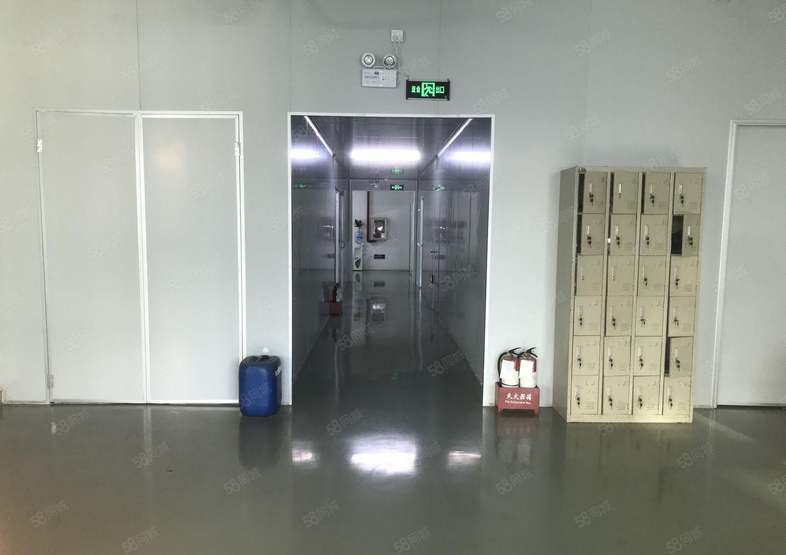 转让或分租无尘车间厂房580平（龙岗宝龙）