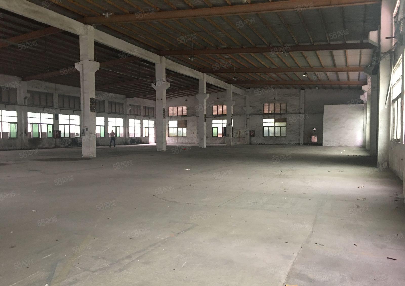 平湖清平高速出口独栋3000平滴水8米钢构厂房出租分租空地大