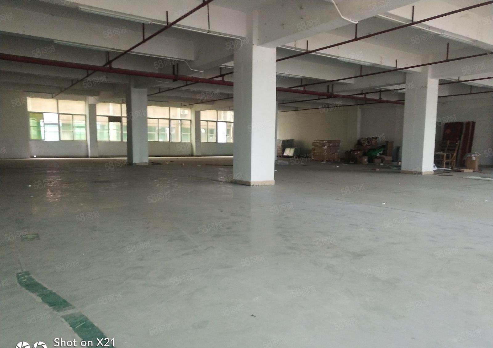 平湖白泥坑独院厂2700平米带冻库平米出租，可分900