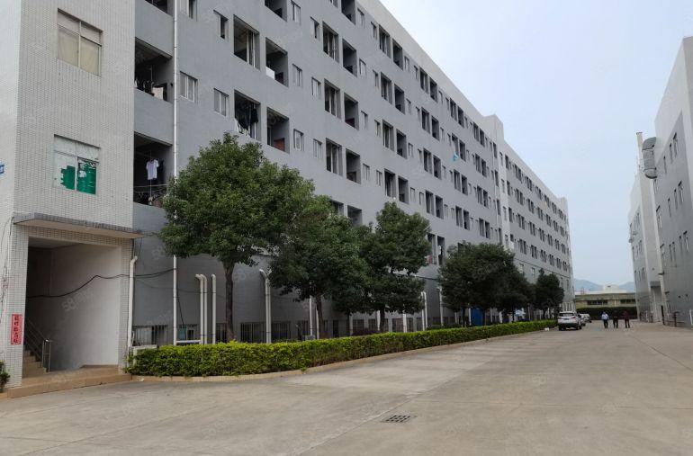 横岗地铁口电商工业园厂房1000平仓库办公出租