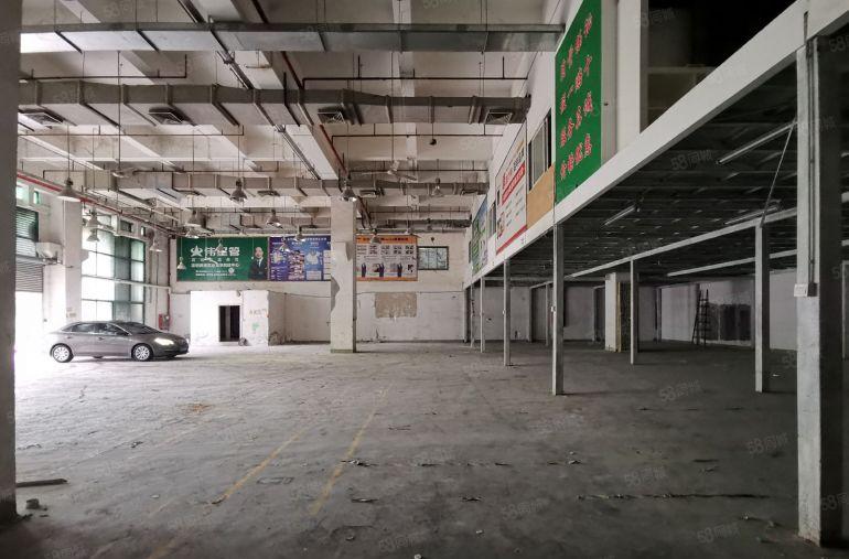 坂田大型园区一楼1600平物流仓库场地带阁楼