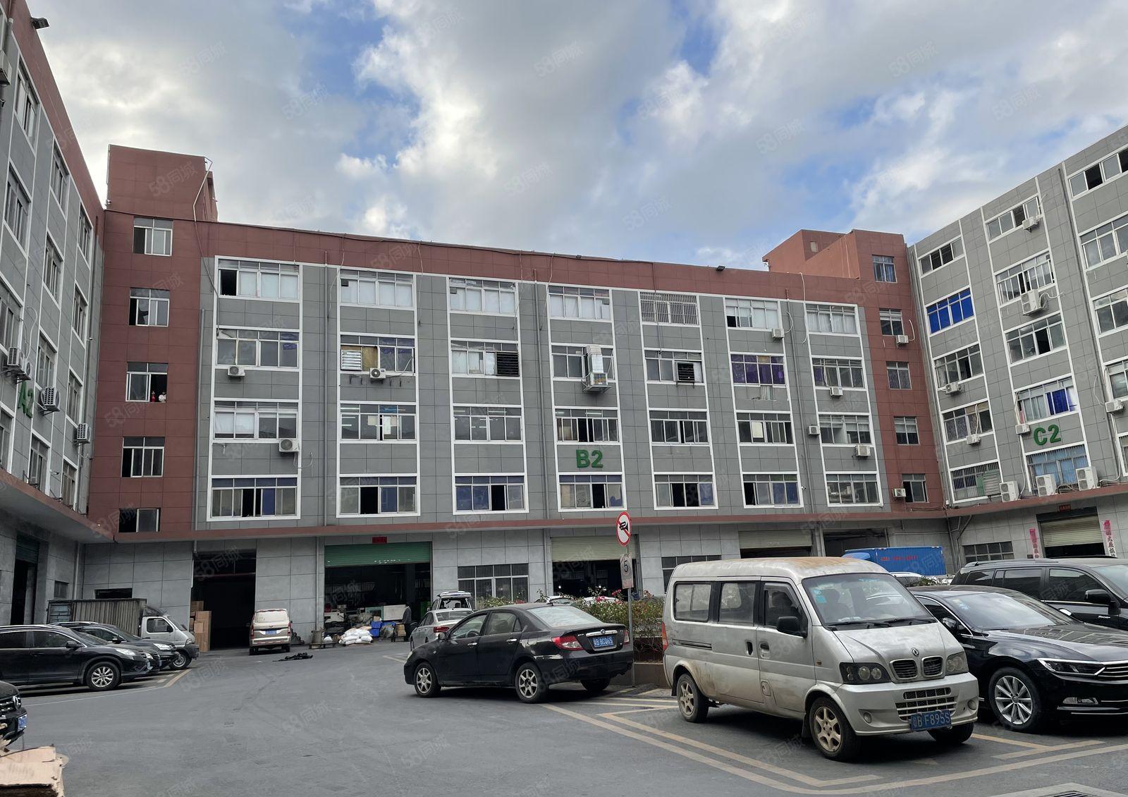 同乐原房东工业区新空出2楼600平带精装修办公室厂房出租