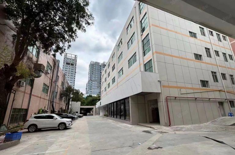 龙岗宝龙工业园区楼上3000平有电梯开发商直租可分租500平