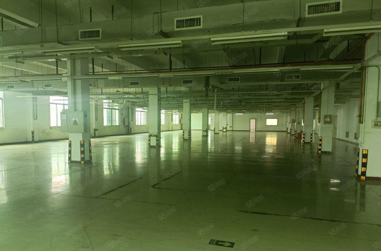 龙岗坪地坪东实际面积2200平带现成水电办公室装修地坪漆