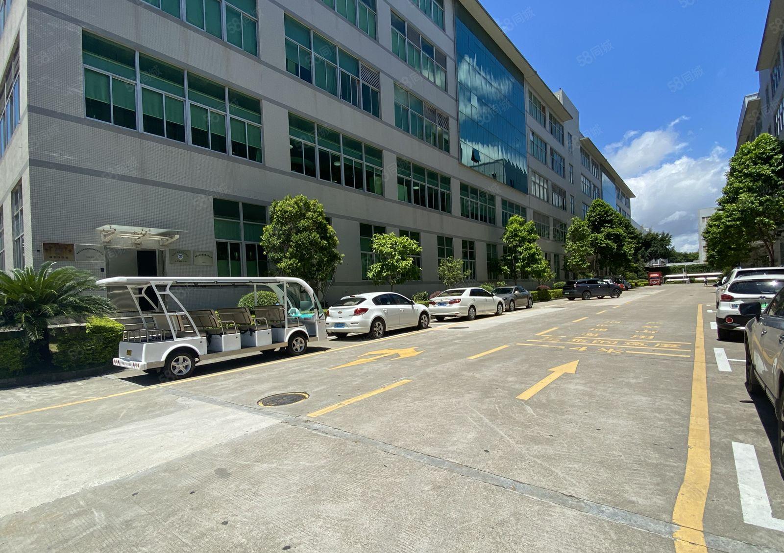 易招工交通便利嶂背大型园区新出2楼850平精装厂房仓库出租