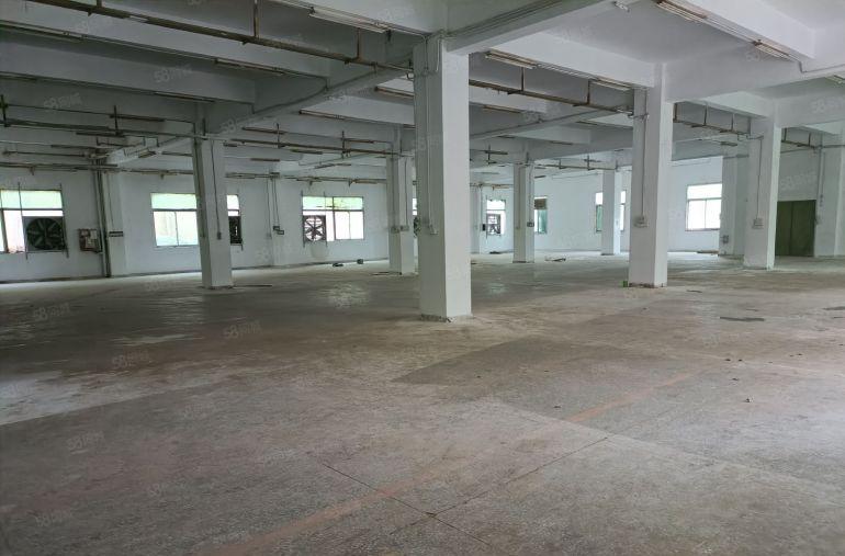 龙岗坪地坪东原房东独院厂房3300平可分租