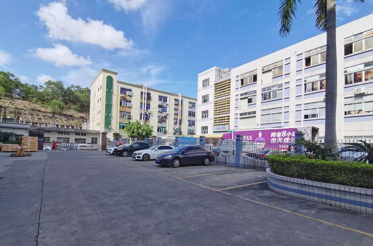 坂田上雪科技园精装修500平1000平2000平厂房仓库出租