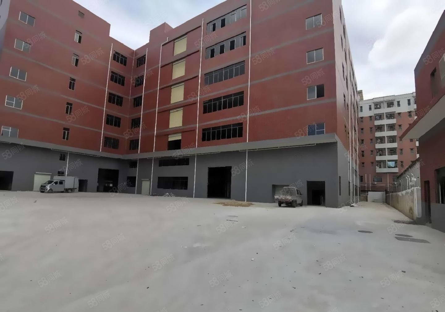 800平起分龙岗宝龙物流园高台物流仓库出租可进22米大货车