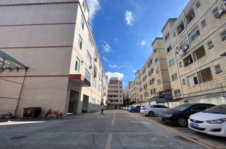 龙岗中心城独院一楼800平出租大小可分租带豪华装修办公室