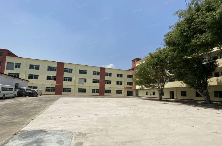 超长免租期村委直租平湖4500平独门独院精装办公仓库厂房出租