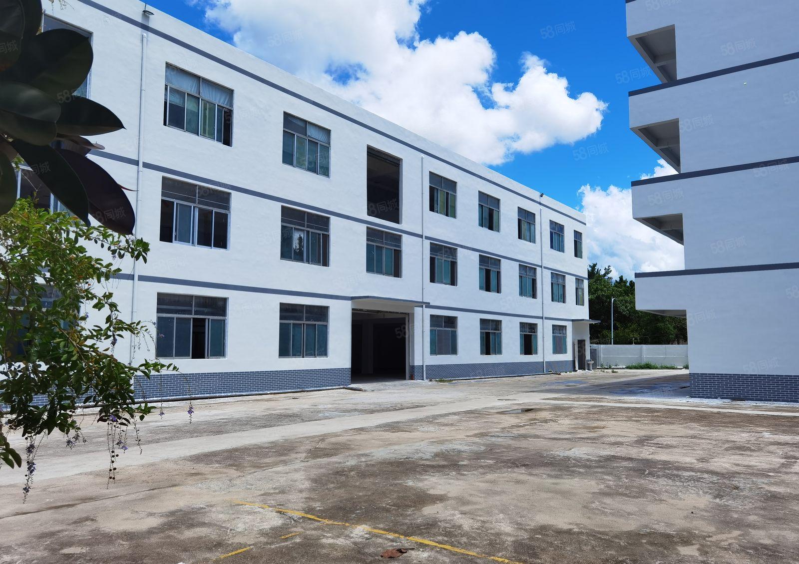 可分租！爱联新出独院5000平带装修一二楼厂房出租，3吨电梯