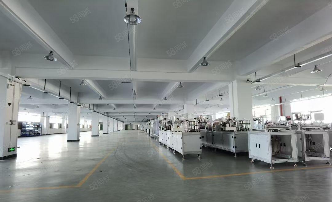 平湖华南城出口处100平方起分租独院8000平方厂房仓库出租