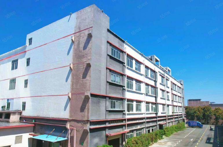 龙岗16元独院红本厂房招租8米高