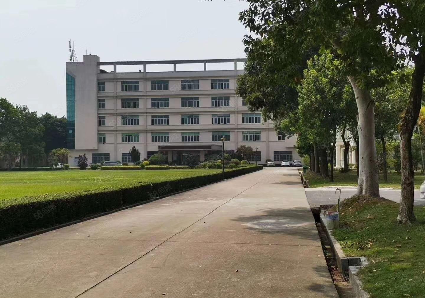 S龙岗中心城独院一楼1000二楼1000平方，可以任意分租