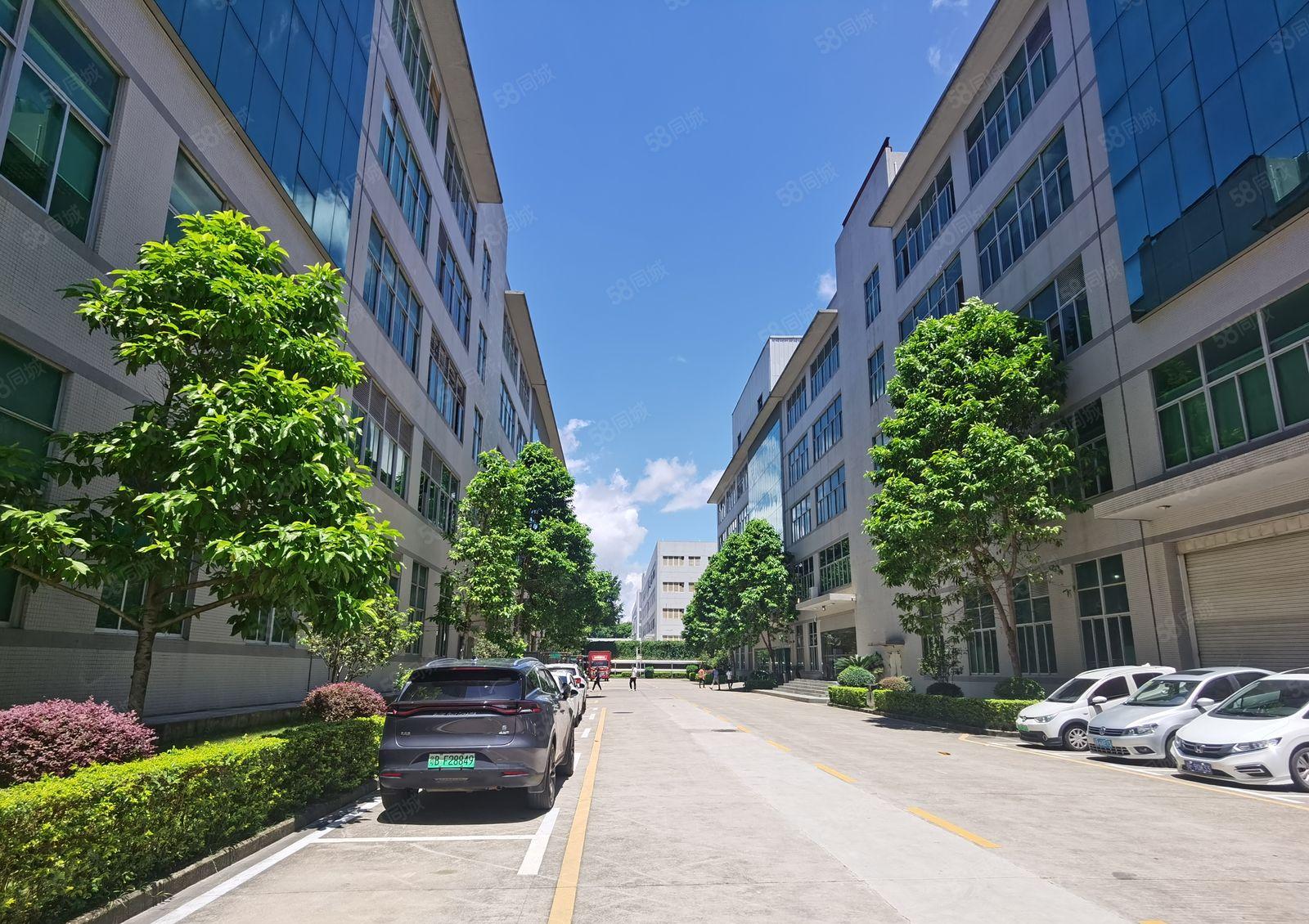 现成装修！龙岗宝龙科技园原房东直租2000平米实际面积出租