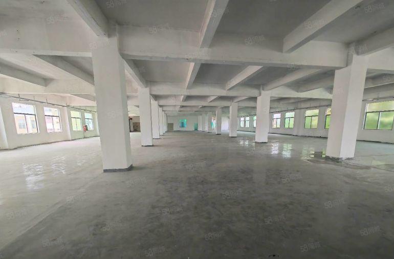 20元起租龙岗宝龙工业园新出一楼二楼1750平厂房出租可分租