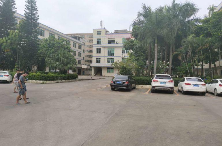 横岗新出1000平至5000平一二楼厂房仓库出租独院大小分租