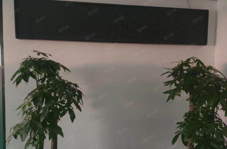 龙岗宝龙工业区新出1楼1368平方厂房仓库出租