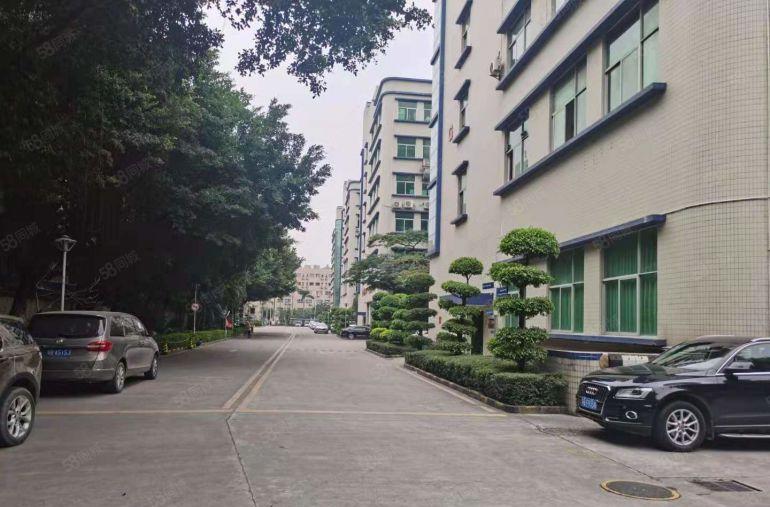 业主直租 布吉上雪科技园楼上500平带装修办公室厂房出租